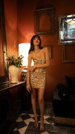 Luxor Tube dress in gold