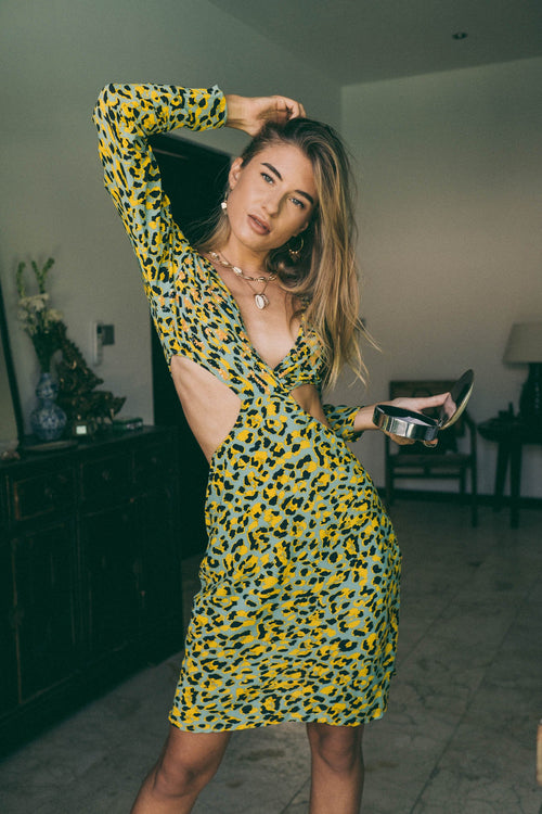 Pop Animal Print Dress