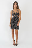 Dress zebra